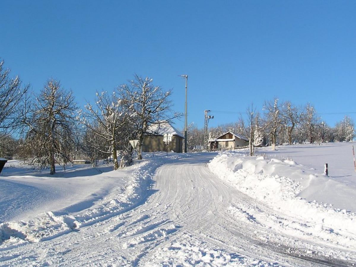 Pension U Johnu Petrovice  Buitenkant foto